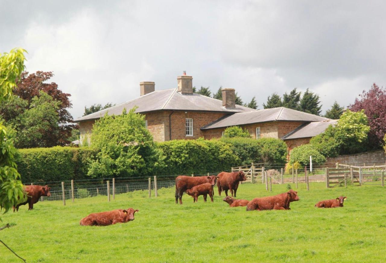 Seawell Bed and Breakfast Towcester Exteriör bild